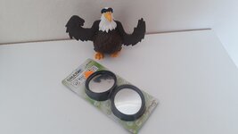 20181002_123037.jpg 20181002_123037.jpg