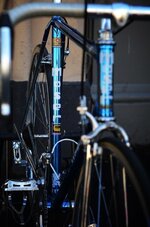 f-moser-fyxomatosis-16.jpg