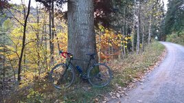WP_20181022_18_18_04_Rich_kl.jpg