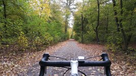 WhatsApp Image 2018-10-27 at 14.55.21.jpeg