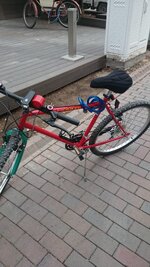 WhatsApp Image 2018-11-04 at 11.34.37.jpeg