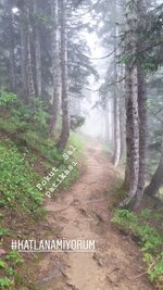 WhatsApp Image 2018-09-24 at 22.02.57.jpeg