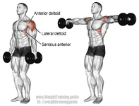 dumbbell-lateral-raise.png