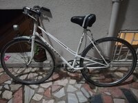 WhatsApp Image 2018-11-13 at 19.51.34.jpeg