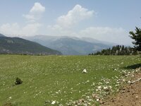 20150517_123035.jpg