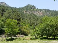 20150517_130958.jpg