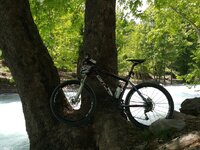 20150517_131230.jpg
