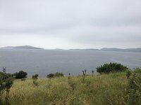 IMG_3529.JPG IMG_3529.JPG