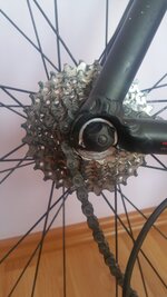 WhatsApp Image 2018-11-26 at 22.06.43 (3).jpeg