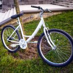 IMG-20181219-WA0002.jpg