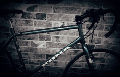 2019-02-22 11.43.38.png