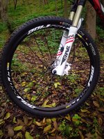 10363649_10152944204307871_6720262619502001663_n (1).jpg