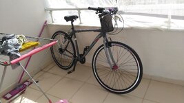 2019-03-05 15.16.38.jpg