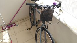 2019-03-05 15.16.50.jpg