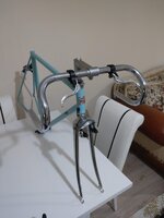 IMAG0738.jpg IMAG0738.jpg