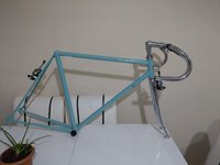 IMAG0739.jpg IMAG0739.jpg