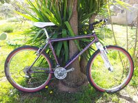 20170301_122412.jpg 20170301_122412.jpg