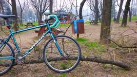 2019-04-18 05.24.34.png