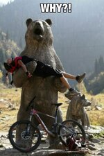 funny-bear-statue-girl-bicycle.jpg