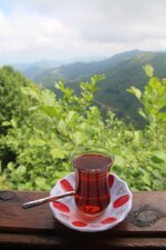 IMG_2519.jpg IMG_2519.jpg