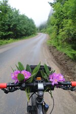 IMG_2579.jpg IMG_2579.jpg