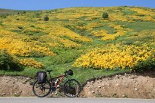 IMG_2695.jpg IMG_2695.jpg