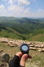 IMG_2722.jpg IMG_2722.jpg