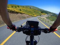 MSUN8585.JPG MSUN8585.JPG