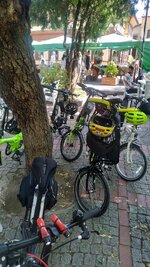 IMG_20190727_151932.jpg IMG_20190727_151932.jpg