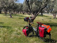 WhatsApp Image 2019-08-02 at 14.03.23 (17).jpeg