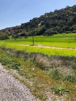 WhatsApp Image 2019-08-02 at 14.09.22 (8).jpeg