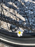 WhatsApp Image 2019-08-02 at 14.13.25 (8).jpeg