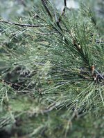 WhatsApp Image 2019-08-02 at 14.21.01 (7).jpeg