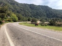 WhatsApp Image 2019-08-02 at 14.21.01 (12).jpeg