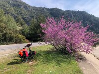 WhatsApp Image 2019-08-02 at 14.21.01 (13).jpeg