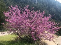 WhatsApp Image 2019-08-02 at 14.21.01 (14).jpeg