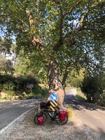 WhatsApp Image 2019-08-02 at 14.21.01 (22).jpeg