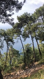 WhatsApp Image 2019-08-02 at 14.21.45 (4).jpeg