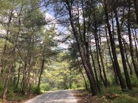 WhatsApp Image 2019-08-02 at 14.21.45 (9).jpeg