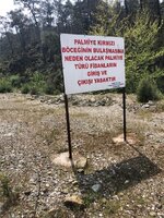 WhatsApp Image 2019-08-02 at 14.21.46 (1).jpeg