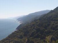 IMG_20190813_102209.jpg IMG_20190813_102209.jpg