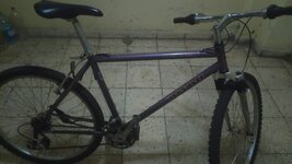 WhatsApp Image 2019-08-16 at 13.39.40.jpeg