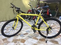 1C9F01ED-E64C-4A7E-A5BB-E02871D95183.jpeg 1C9F01ED-E64C-4A7E-A5BB-E02871D95183.jpeg