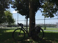 4467174B-5B81-452E-9166-06BF02A8F1D7.jpeg 4467174B-5B81-452E-9166-06BF02A8F1D7.jpeg