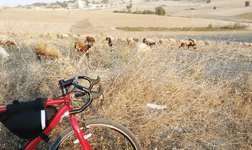 2019-09-11 18.57.28.png