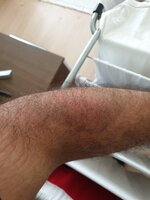 20190919_161918.jpg