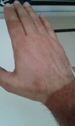 20150510_123830.jpg 20150510_123830.jpg