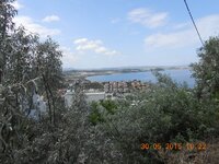 DSCN1479.JPG DSCN1479.JPG