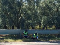 0c64ac96-1a2b-4d39-b3a0-cb1f333e7027.jpg 0c64ac96-1a2b-4d39-b3a0-cb1f333e7027.jpg