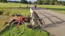 IMG_20191016_163054.jpg IMG_20191016_163054.jpg